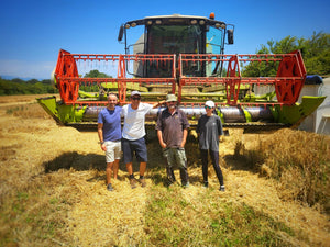 Les Chineurs de Malts dans Vaucluse Hebdo